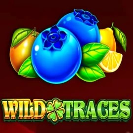 Wild Traces online game logo by Amusnet Interactive on rainsbet.net