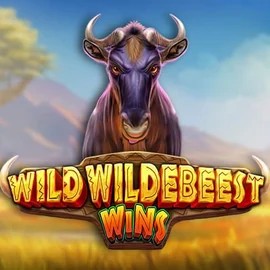 Wild Wildebeest Wins logo by Pragmatic Play Rainbet Casino